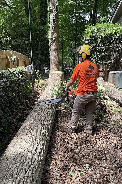Professional tree removal service in Lawrenceville Georgia by Pierson Tree Solutions